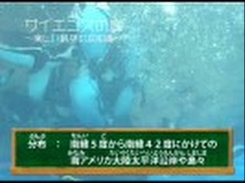 庭の知識:樹皮 自然と動物
