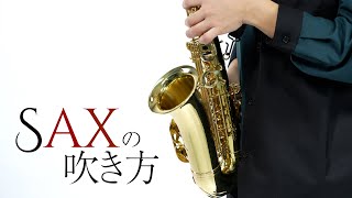 PLAYTECH ( プレイテック ) PTAS-350 アルトサックス ローズ PLAYTECH ( プレイテック ) PTAS-350 アルトサックス ローズ