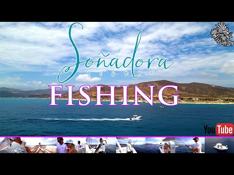 SONADORA RESORT FISHING, EL CARDONAL, BAJA CALIFORNIA SUR, MEXICO