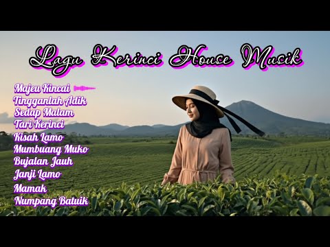 Lagu Kerinci - Kompilasi lagu Kerinci House Musik | Lagu Kerinci Terbaru | Lagu Jambi Remix 2025