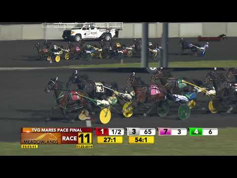 TVG MARES PACE FINAL - Race 11 - November 23, 2019