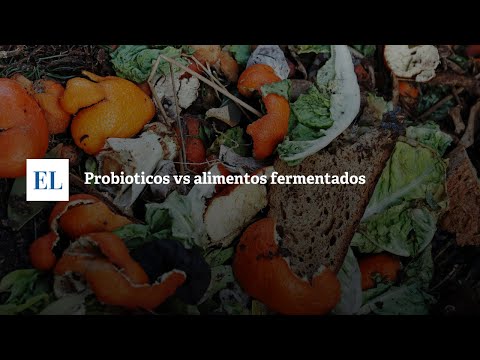 Pilar Lombardo-11