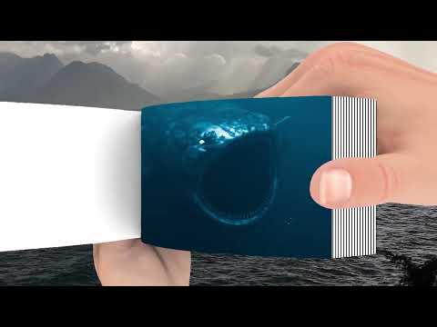 The Bloop of Evolution 2024 - FlipBook