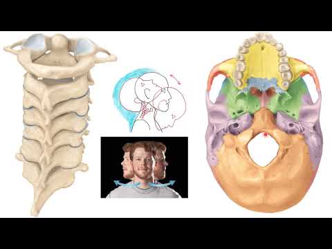 Esqueleto parte 2 sec