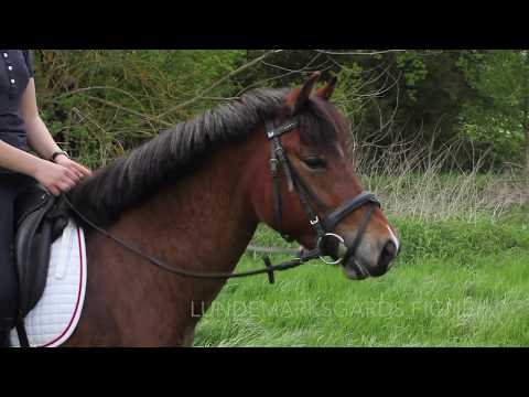 Lundemarksgårds Figne