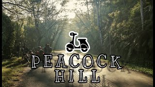 Download lagu PEACOCK HILL - PUSSELLAWA , SRI LANKA 🦚💚🛵 mp3 Download lagu PEACOCK HILL - PUSSELLAWA , SRI LANKA 🦚💚🛵 mp3