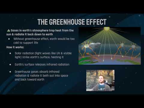 AP Environmental Science Notes 9.3 - Greenhouse Effect