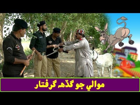 Mawali Jo Gadah Griftaar | Mashkiran Jo Goth | SindhTVHD Drama