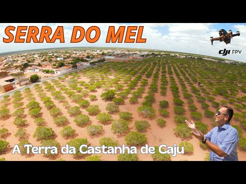 SERRA DO MEL a terra da CASTANHA de CAJU no RN