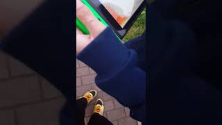 ピカブイゴーパークからミュー2もらい捕まえるしぶちん