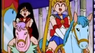 Sailor Moon AMV - The Vandals - Fourteen