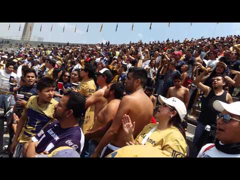 "La Rebel - Vamos UNAM - Pumas vs Dorados 2-0" Barra: La Rebel &bull; Club: Pumas