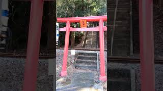【宮崎】日南市の松尾神社の鳥居の内側を通る電車で運気アップ動画#shorts