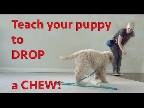 STOP UNWANTED behaviors with BACK UP