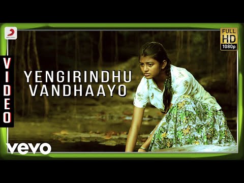 Kayal - Yengirindhu Vandhaayo Video | Anandhi, Chandran | D. Imman