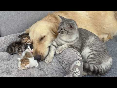 YouTube 썸네일