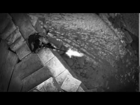 он смотрит на тебя, ты смотришь на него- искра, буря, безумие, кловь, кишки, влача.