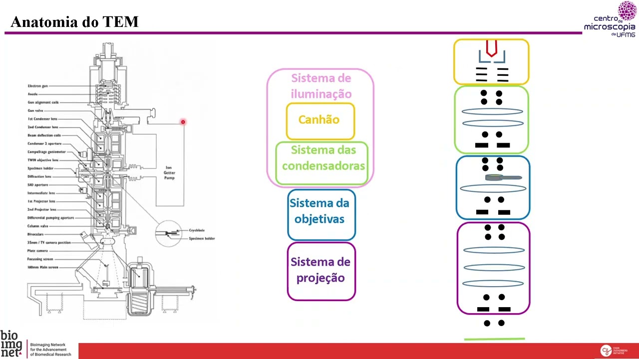 Aula 4 - Fundamentos de Microscopia Eletrônica - Aspectos básicos e algumas aplicações- Parte 2