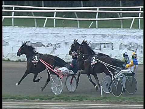 Trotto 21/01/2016 - 2° corsa