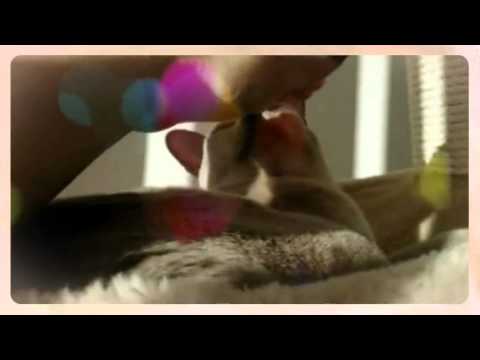 Rupert & Archie ...  (Created with @Magisto)