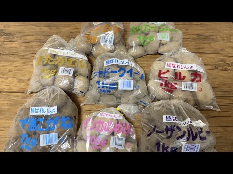 園芸 家庭菜園にはどのジャガイモが適していますか?