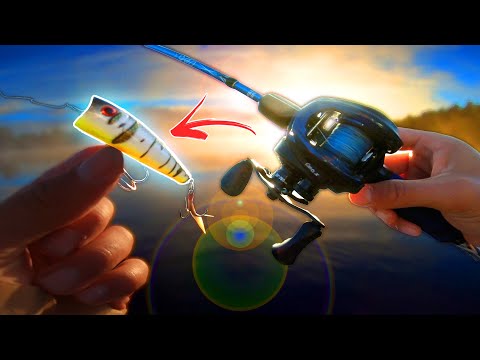 PERCH FISHING: 46 cm on Popper 🔥 (Topwater Madness!!!)