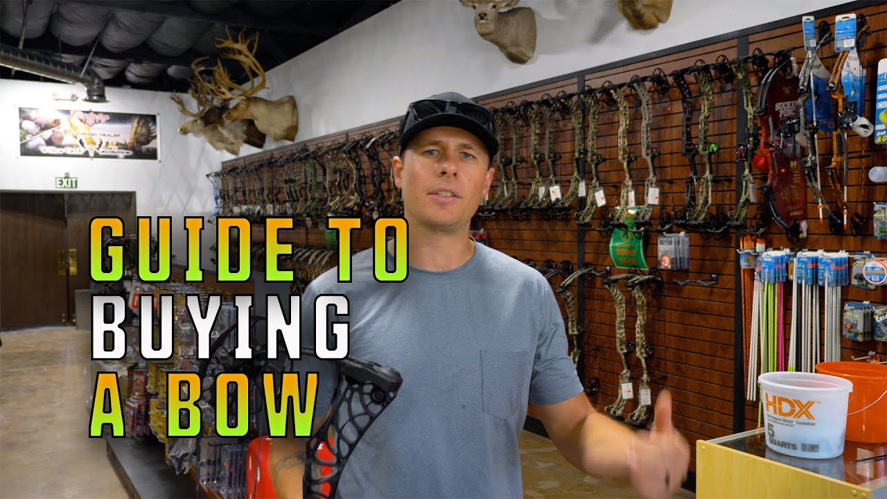 Best Bows To Start Archery