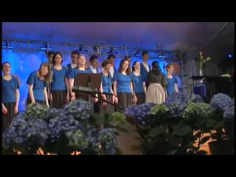 video image