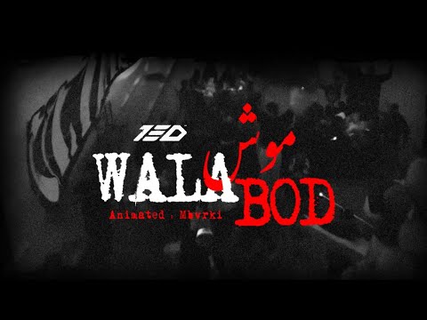 T3D™ - MECH-WALA BOD