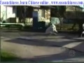 4277not Laughing At You Funny Animal Comic Video Collection