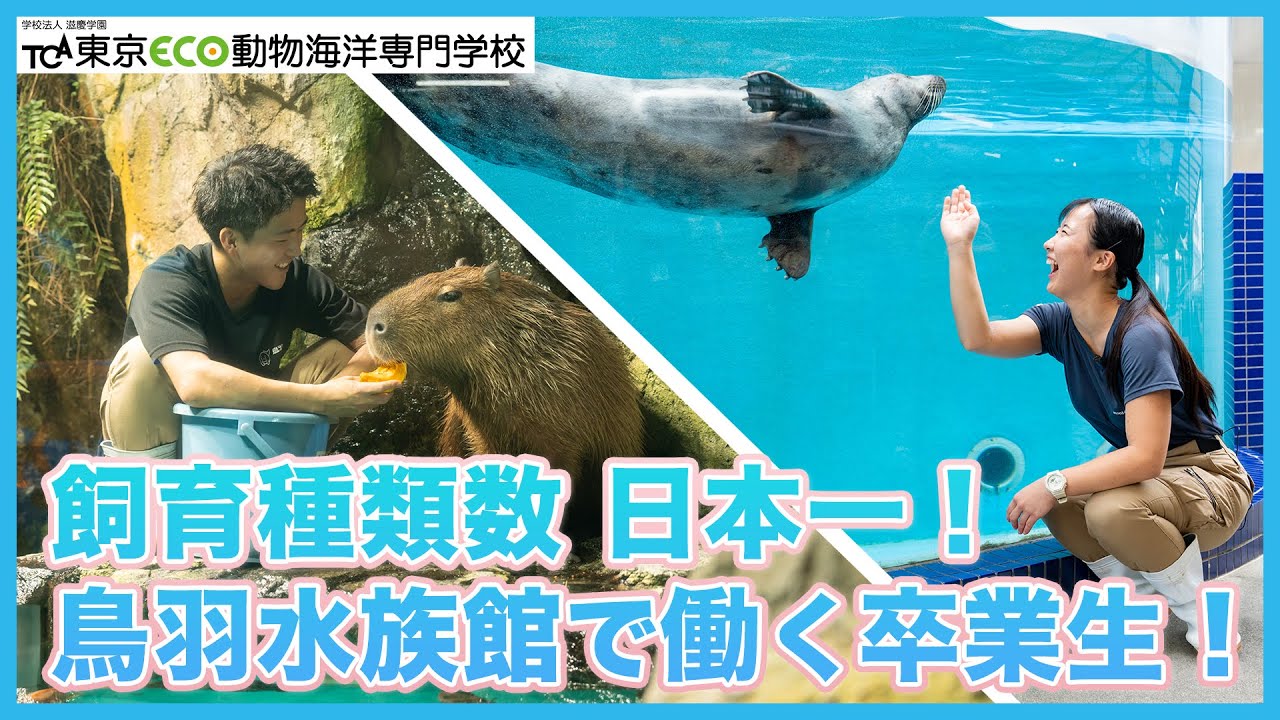 鳥羽水族館で飼育員として活躍する卒業生にインタビュー！