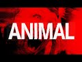 PRIVATE FUNCTION ANIMAL