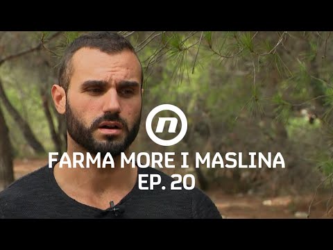 Silvio o 'pokislom princu' - Epizoda 20 | Farma More i Maslina