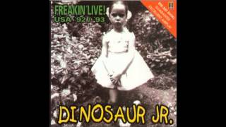 Dinosaur Jr. - "Get Me (Acoustic)"