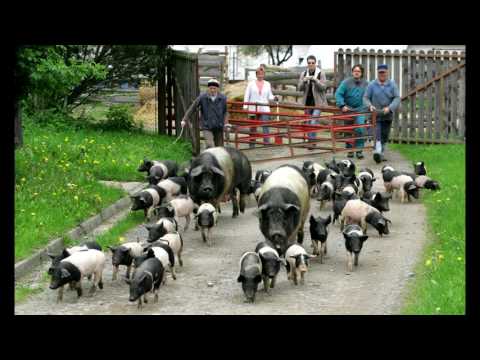 07 Josef Sklenář a Jiří Pykal - Biofarma Sasov