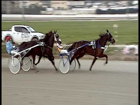 Trotto 03/01/2020 - 5ª corsa