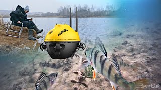 РЫБАЛКА НА ПОДВОДНЫЙ ДРОН. Поклёвки рыбы на червя