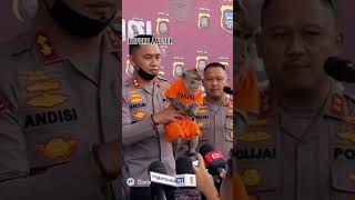 Download lagu cuma diindonesia kayaknya monyet dipenjara😆 #viral #ngakak #monyetlucu #shorts #fyp #beritaterkini mp3