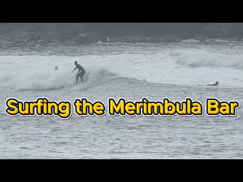 Surfing at Merimbula NSW and some local wildlife