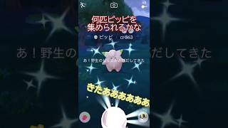 🌕お月見背景色違いピッピ登場🌕🍡✨ #ポケモンgo #pokemongo #pokemongoshorts