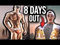 DISGUSTING PUSH DAY 8 DAYS OUT || GROCERY SHOPPING FOR CUTTING