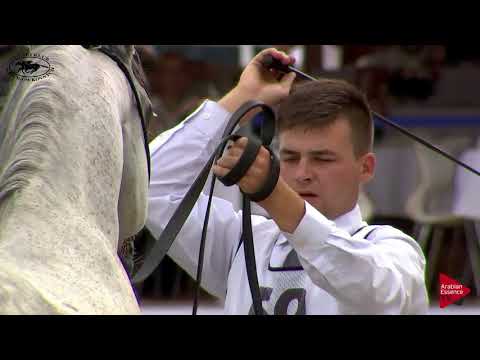 N.59 ZIGI ZANA - Polish Nationals 2018 - 7-10 Years Old Mares (Class 8)