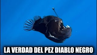 REVELAN la VERDAD del PEZ DIABLO NEGRO!