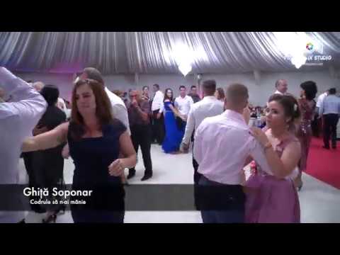 Ghita Soponar - Codrule sa n-ai manie...