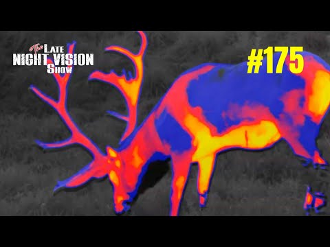 Ep. 175 | Pulsar Trionyx T3 **NEW RELEASE REVIEW**