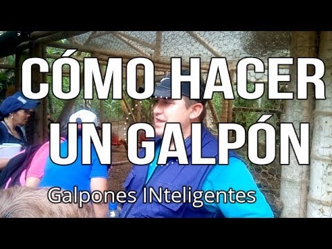 , title : 'como hacer galpones inteligentes, funciones de las gallinas en las fincas'