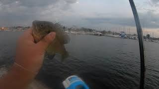 Catching bluegills in Lake Erie in pre-storm conditions