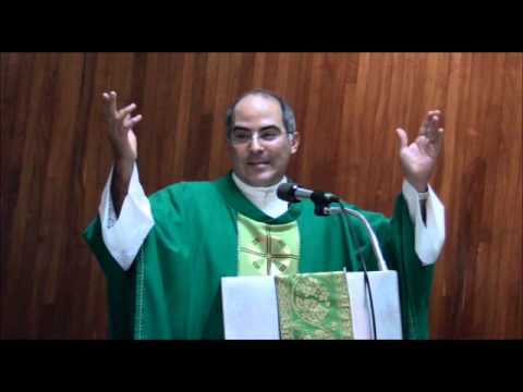 2013 08 18 Misa dominical Homilia XX Dom Ordinario