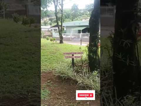 "Acontecem Aqui Coisas Boas"! Bosque Municipal Carlos Gerd Schroeder, Rio do Sul -SC