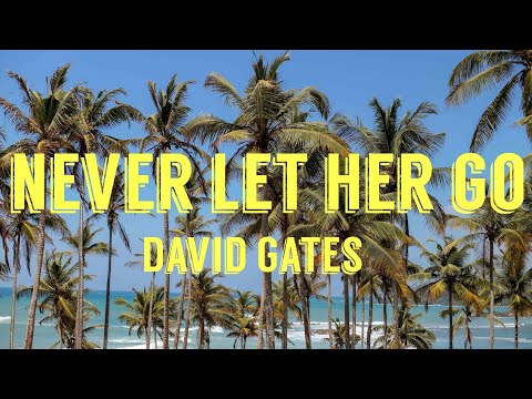 David Gates - Never Let Her Go (Lyrics)